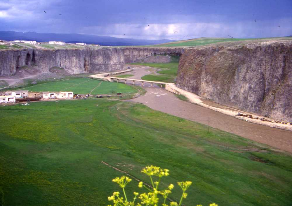 Ağrı