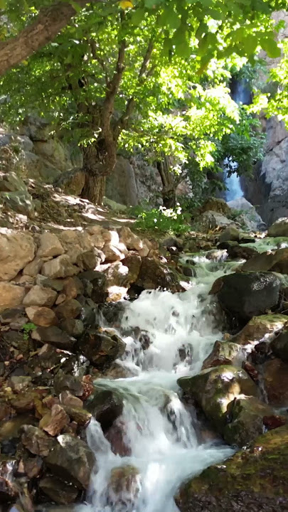 Hakkari
