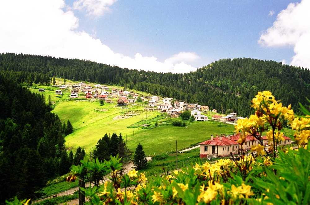 Giresun