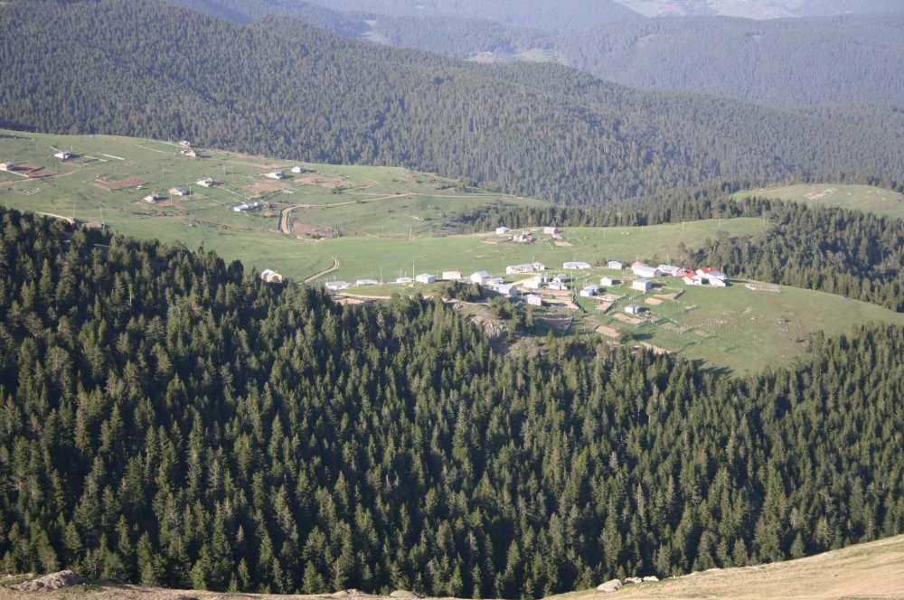 Giresun