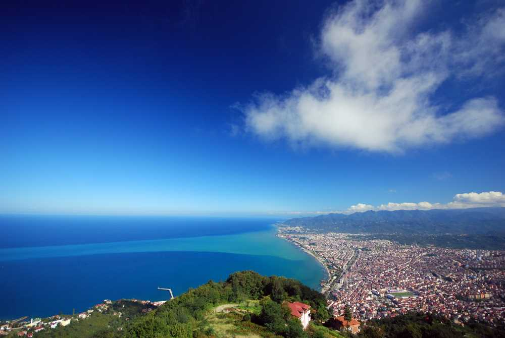 Ordu