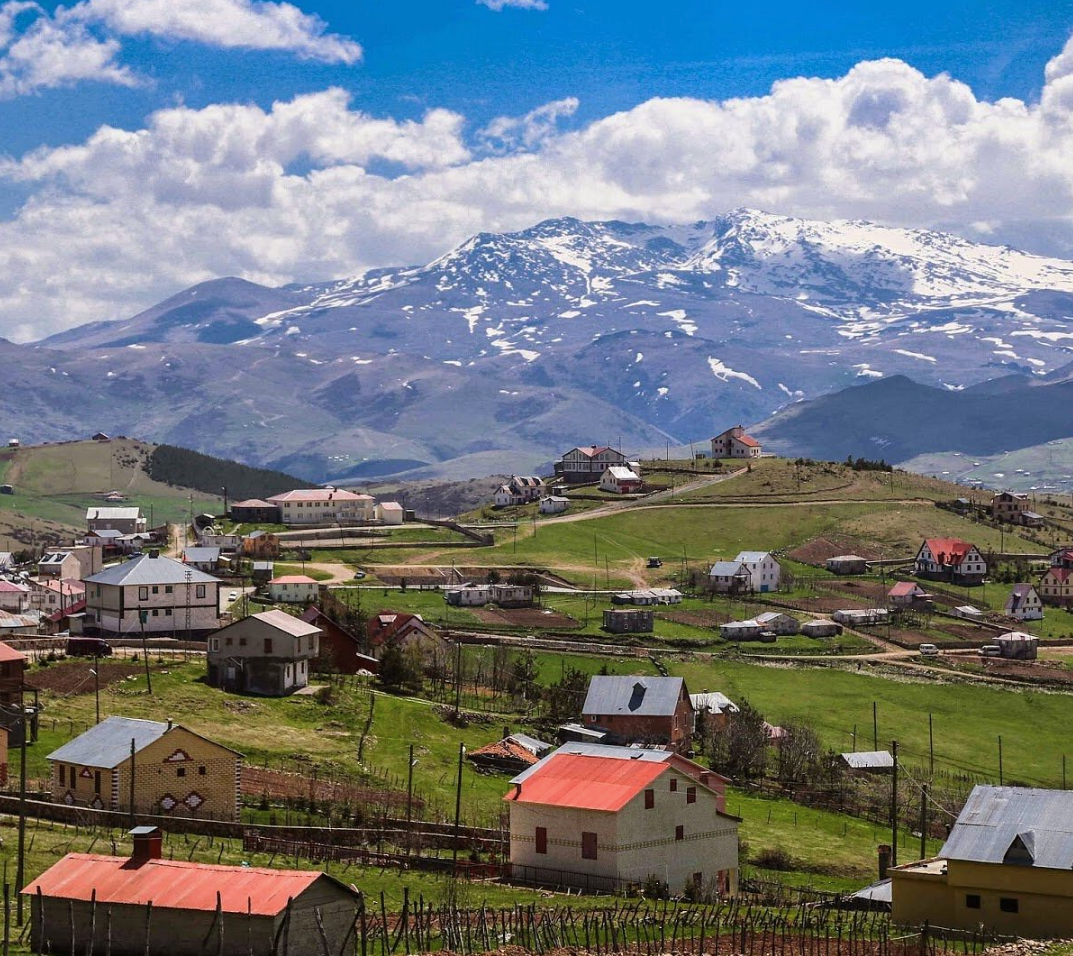 Ordu