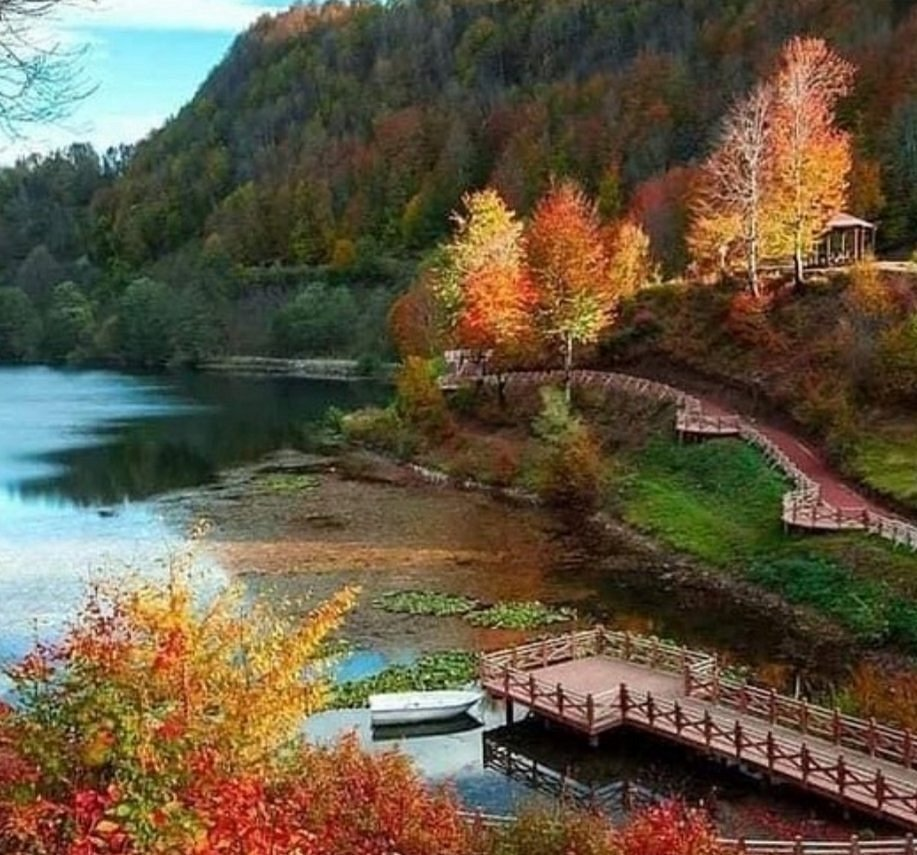 Ordu
