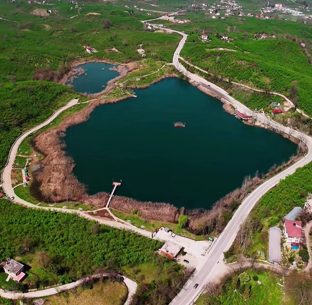 Ordu