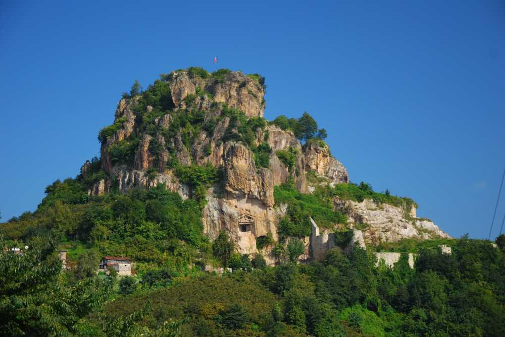 Ordu