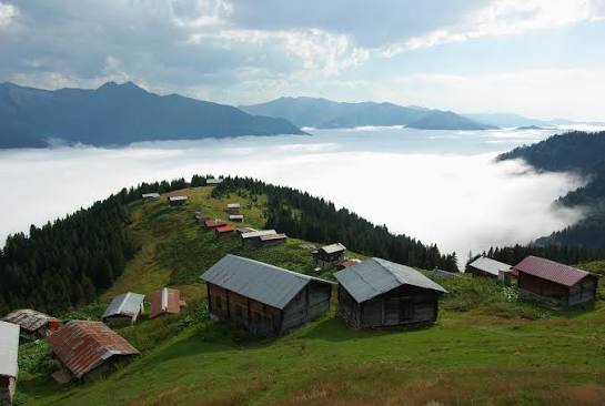 Rize