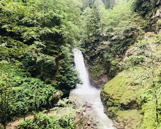 Rize