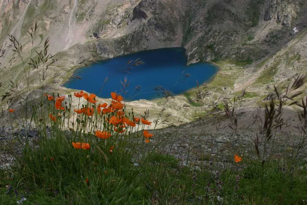 Rize