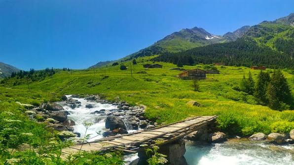Rize