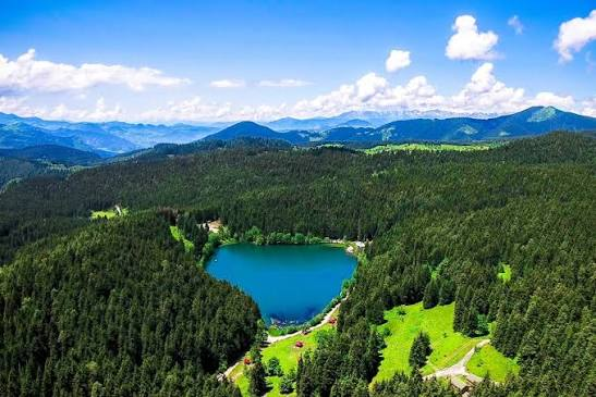 Artvin