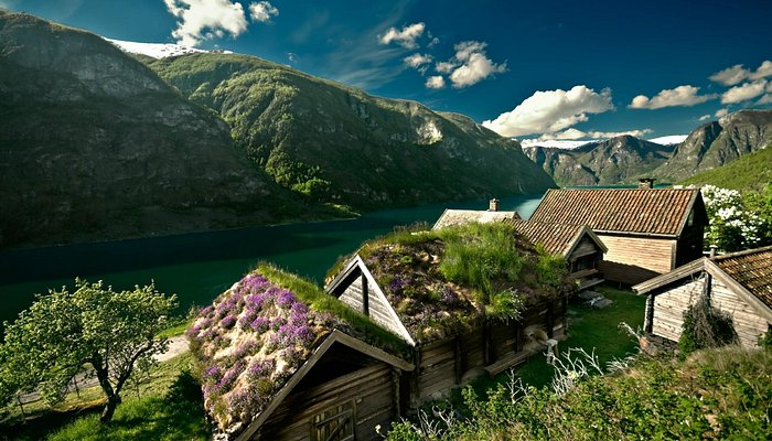 Flam
